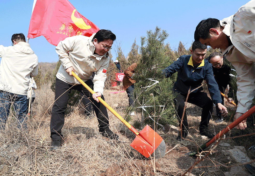 植樹添新綠 齊心健步行 華魯集團組織開展2024年義務植樹和 春季健步走活動-2.gif